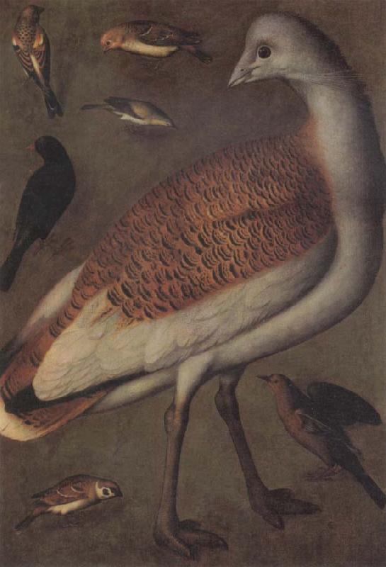 Ludger tom Ring Great Bustard Cock oil painting picture